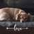Karen Martin Donoho's profile image