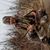 Michael Schmidt's profile image