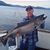 Randy Maes's profile image