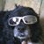Kenneth Russ's profile image