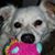 Susan Lynn Lawson's profile image