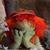 Lori Jackson's profile image