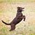 Laurea Griggs's profile image