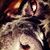 Melanie McGuire Stacklie's profile image