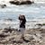 Teresa Easterling's profile image