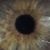 Amy Fassett Wheeler's profile image