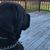 Ginger Kelsey-Engle's profile image