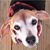 Regina McDuff's profile image