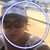 Lisa Ann's profile image