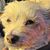 Kim Cravens's profile image