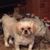 Barbara Smith's profile image