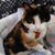 Jacquelyn Dow Faris's profile image