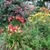 Pamela Tuttle Boucher's profile image