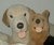 Selene N.'s profile image