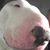 Jane Ann Sørensen's profile image