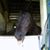 Dona Wechter's profile image