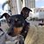 Sandra Calahan's profile image