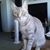 Susan Stanton's profile image