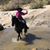 Lynda Kay Bowie's profile image