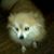 Maggie Hall's profile image