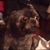Marjorie Higginbotham's profile image