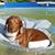 Linda Brownfield's profile image