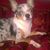 Angie Sergent Canter's profile image