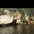 Brenda Holiman McBride's profile image