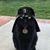 Dale Persch's profile image