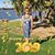 Laurie Lay's profile image