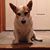Beth Horvath-Palmer's profile image