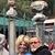 Carolyn Harter Reynolds's profile image