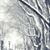 Linda Carlough Gransbury's profile image