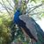 Terri Hamel's profile image
