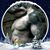 Matt Sala's profile image