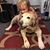 Kathy Sullens-Smith's profile image