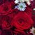 Seila Obregon's profile image