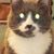 Daron Jacobs's profile image