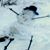 Sandra Erickson's profile image