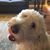 Sue Kimmes's profile image