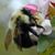 Nanette Warn's profile image