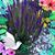 Trang Truong's profile image