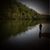 Kim Pisano Enderle's profile image