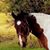 Kim Hayes Garbrick's profile image