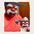 Brian Safford's profile image