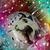 Yvonne Reina's profile image