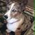 Laurie Williams's profile image