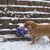 Brooke Andreatta's profile image