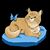 Christy Mesik's profile image