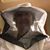 Gayle R Louque's profile image